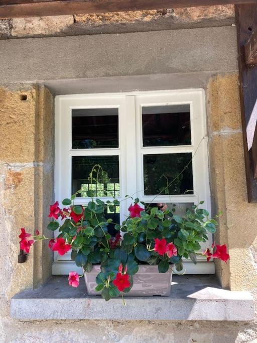 Vakantiehuis La Poire, Op Landgoed Aan De Dordogne Prudhomat Экстерьер фото